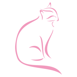 Sticker Chat design