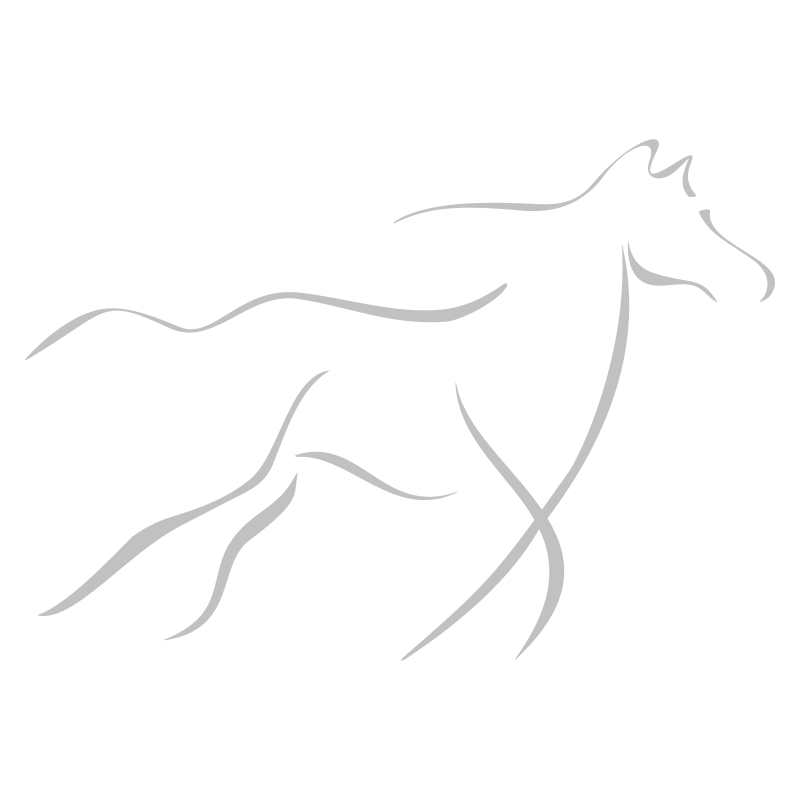 Sticker Cheval design