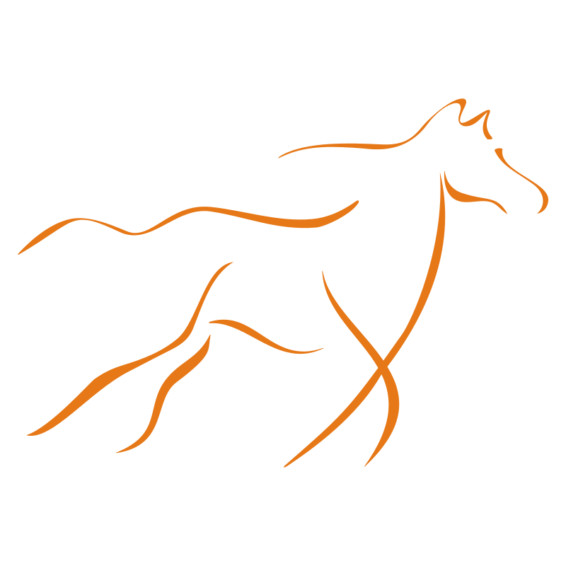 Sticker Cheval design