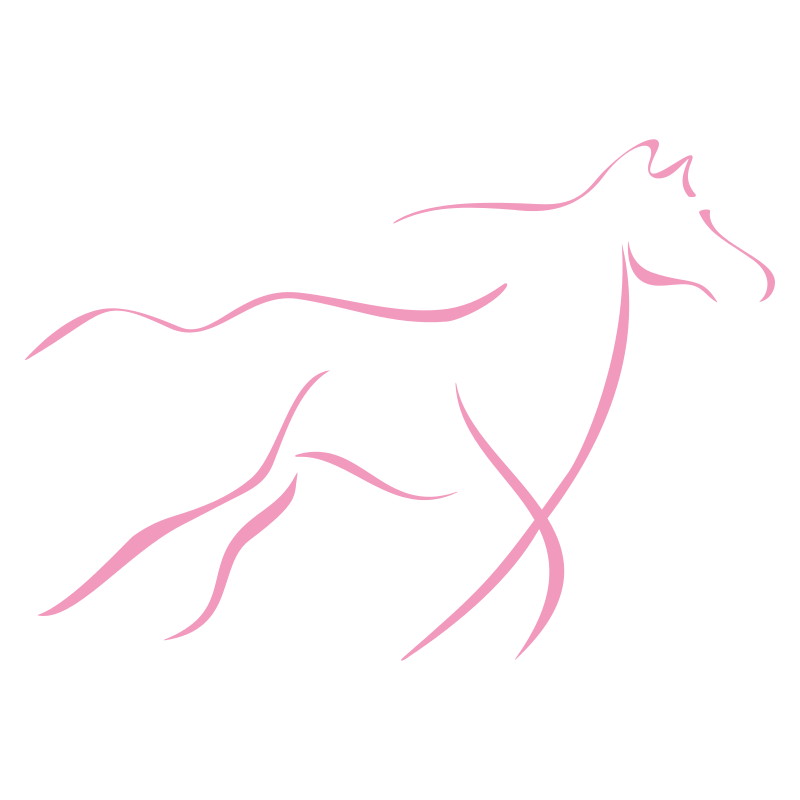 Sticker Cheval design