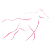 Sticker Cheval design