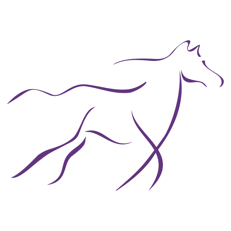 Sticker Cheval design
