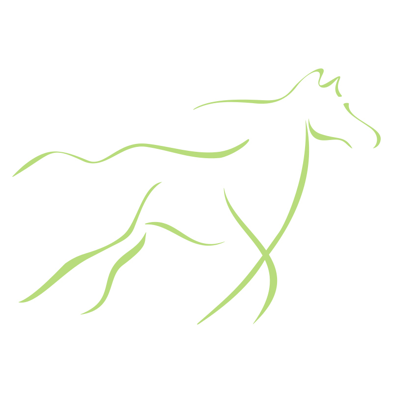 Sticker Cheval design
