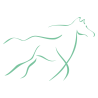 Sticker Cheval design