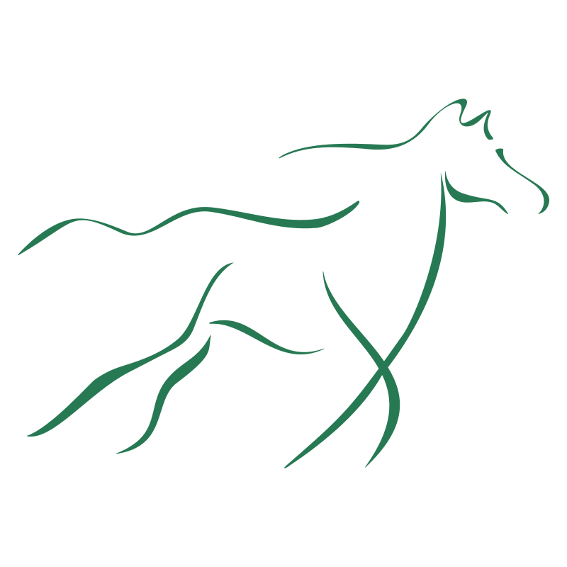 Sticker Cheval design