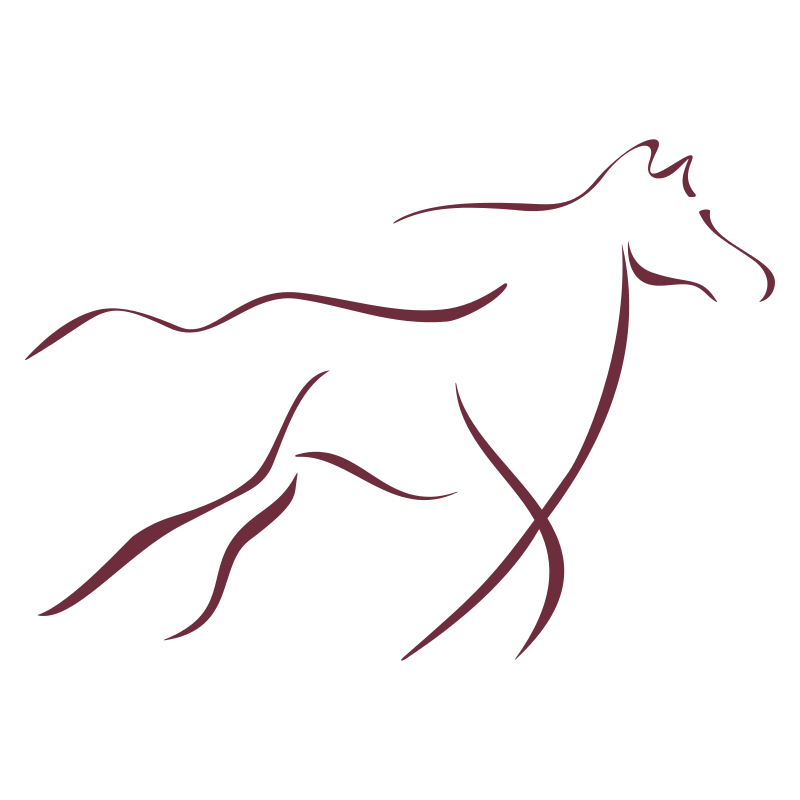 Sticker Cheval design