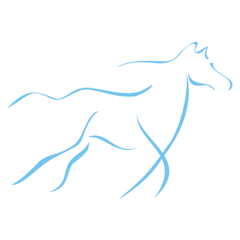 Sticker Cheval design