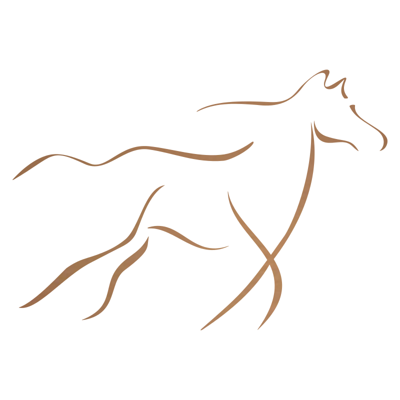 Sticker Cheval design