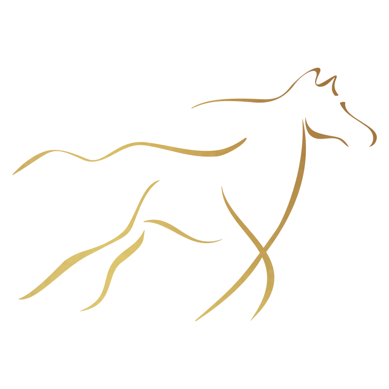 Sticker Cheval design