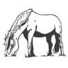 Sticker Cheval qui broute