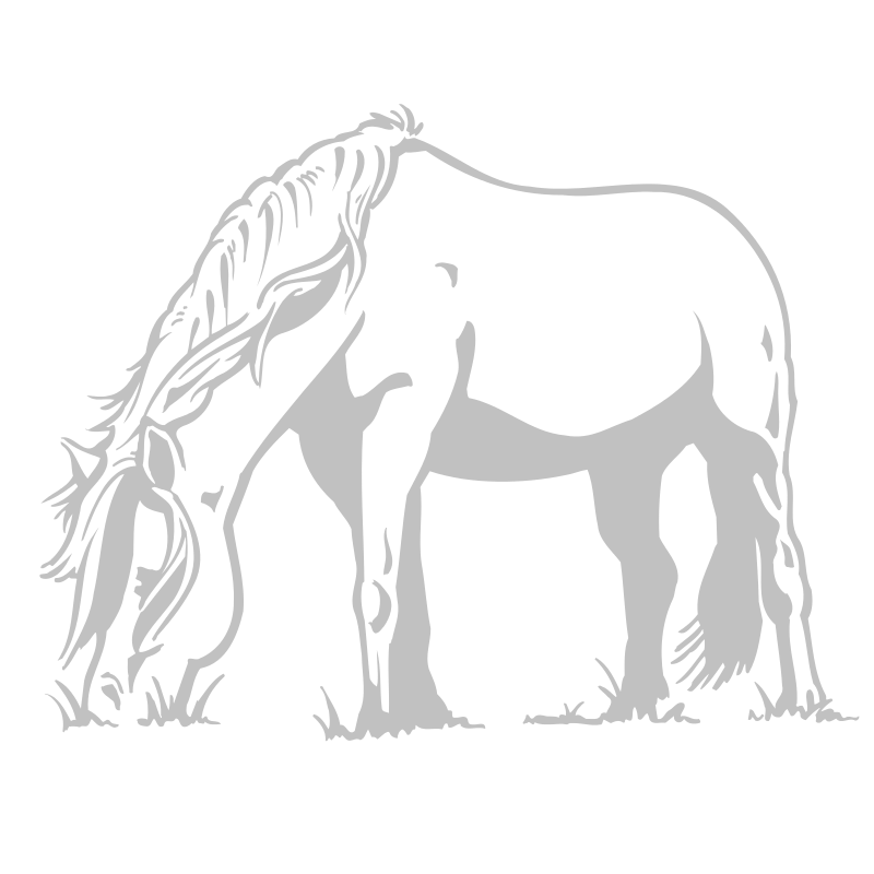 Sticker Cheval qui broute