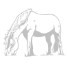 Sticker Cheval qui broute