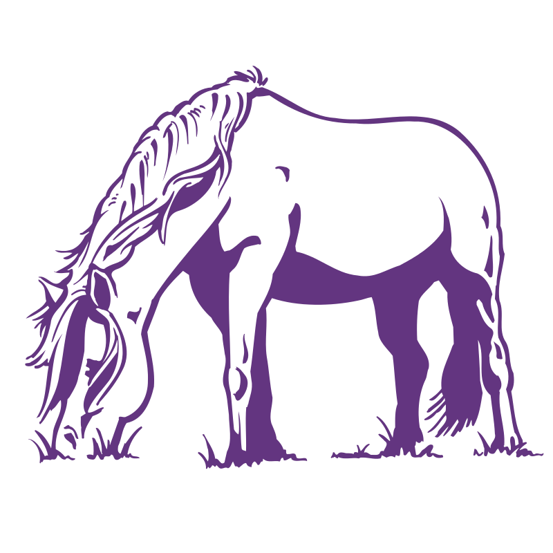 Sticker Cheval qui broute