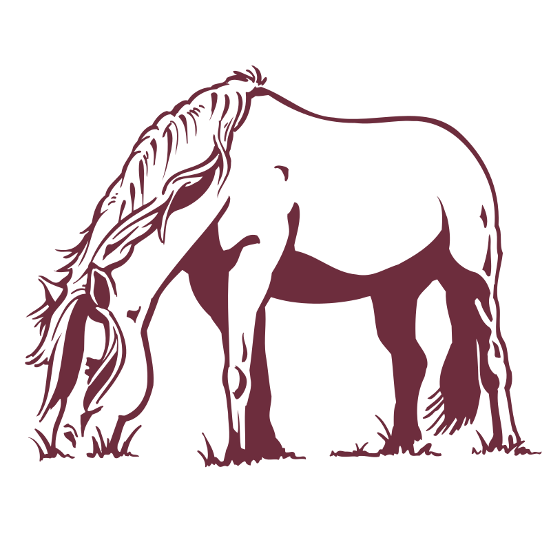 Sticker Cheval qui broute