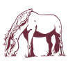 Sticker Cheval qui broute