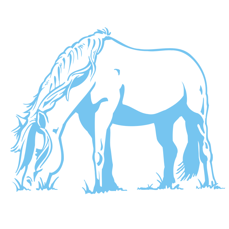Sticker Cheval qui broute