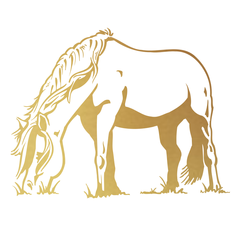 Sticker Cheval qui broute