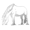 Sticker Cheval qui broute