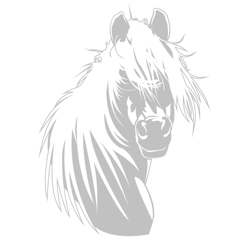 Sticker Tête de cheval