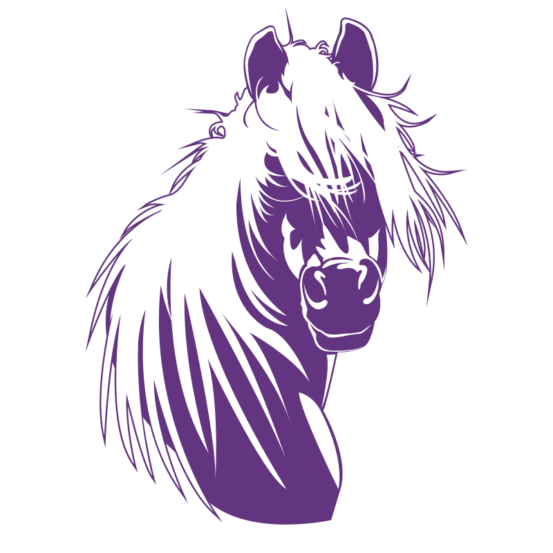 Sticker Tête de cheval