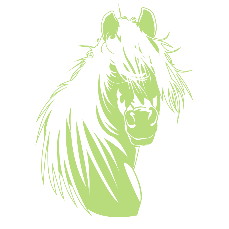 Sticker Tête de cheval