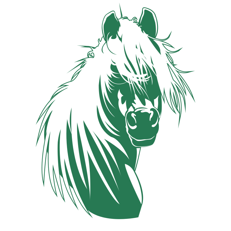 Sticker Tête de cheval