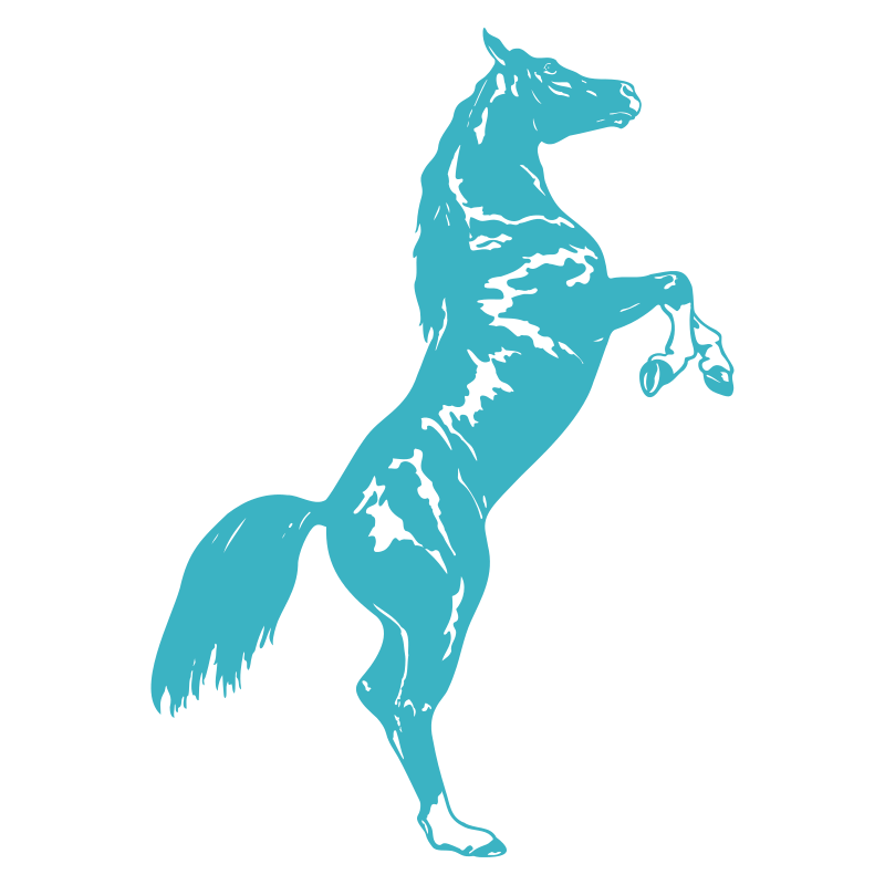Sticker Cheval cabré