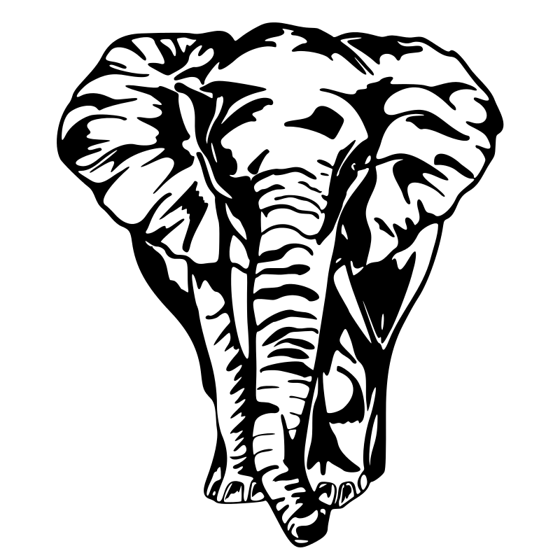 Sticker Éléphant de face