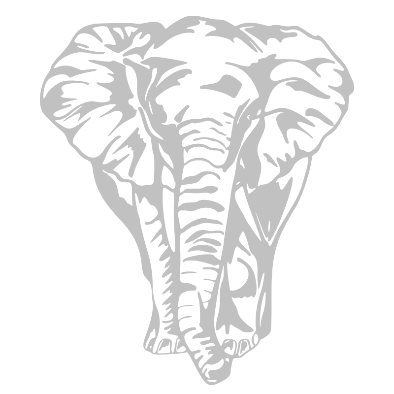 Sticker Éléphant de face