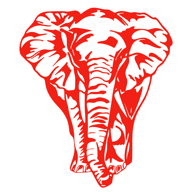 Sticker Éléphant de face