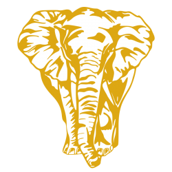 Sticker Éléphant de face