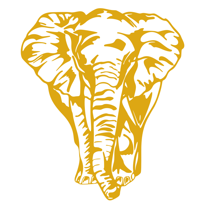 Sticker Éléphant de face