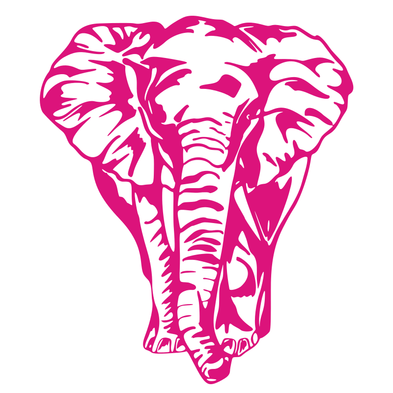 Sticker Éléphant de face