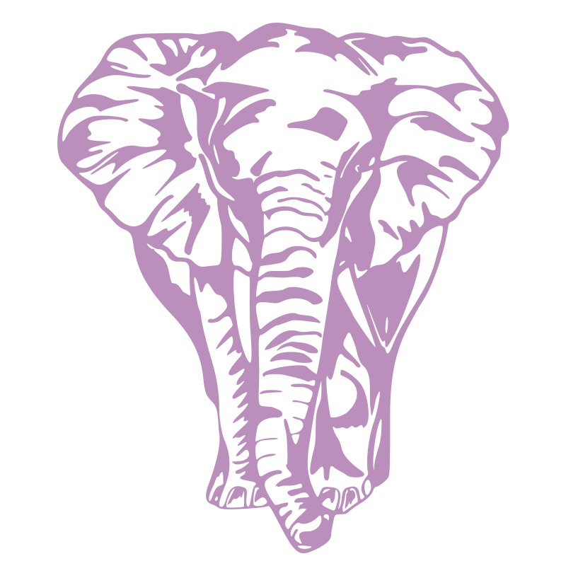 Sticker Éléphant de face