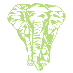 Sticker Éléphant de face