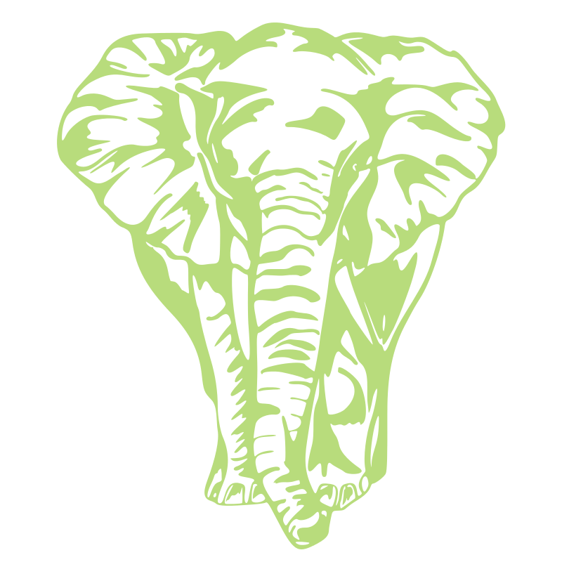 Sticker Éléphant de face