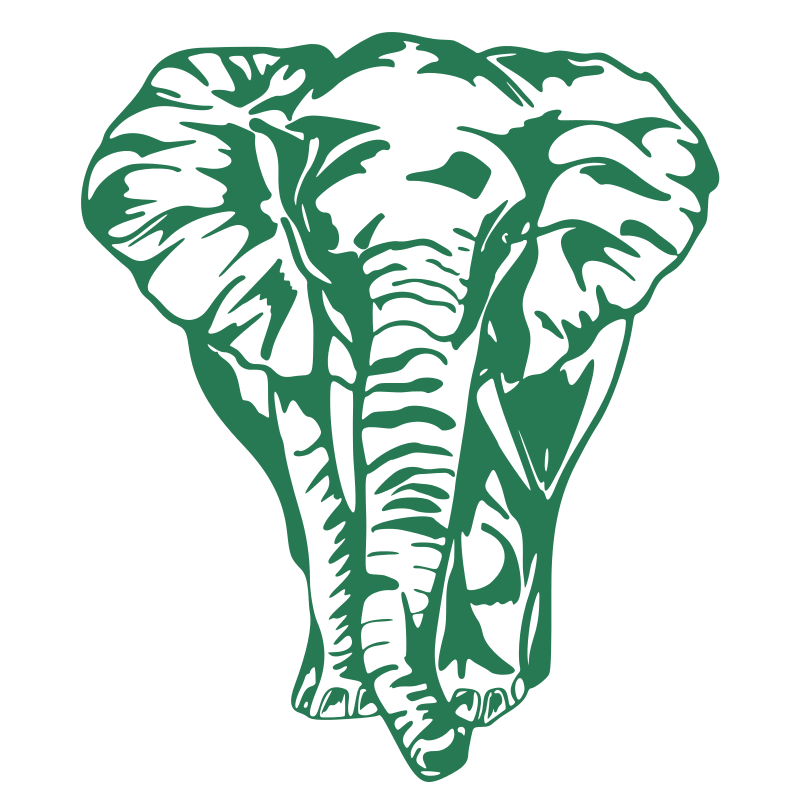 Sticker Éléphant de face