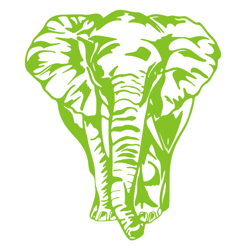 Sticker Éléphant de face