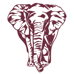 Sticker Éléphant de face