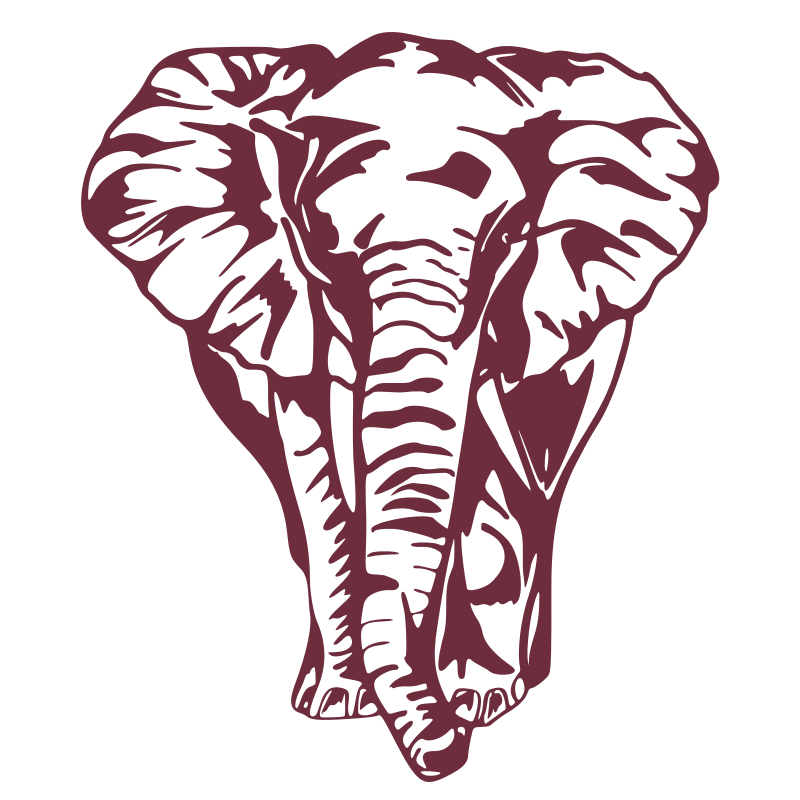 Sticker Éléphant de face