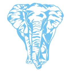 Sticker Éléphant de face