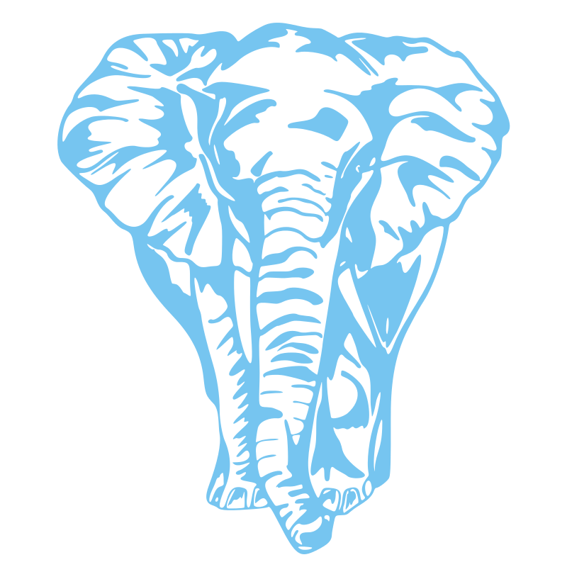 Sticker Éléphant de face