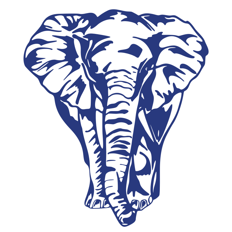 Sticker Éléphant de face