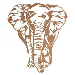 Sticker Éléphant de face