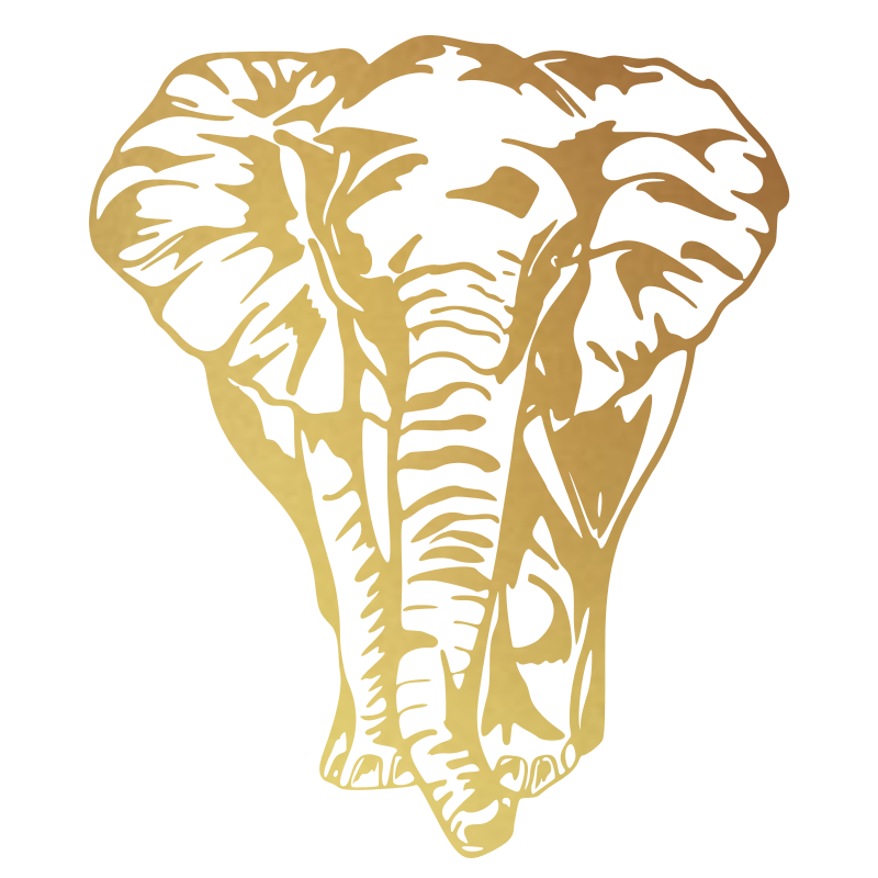 Sticker Éléphant de face