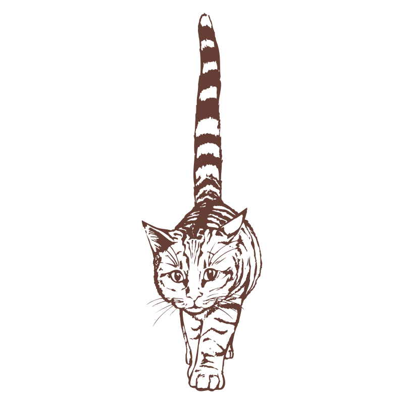 Sticker Chat géant