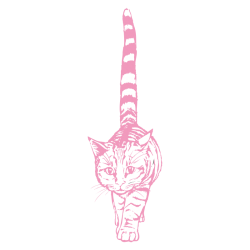 Sticker Chat géant