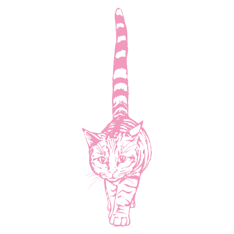 Sticker Chat géant
