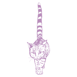 Sticker Chat géant