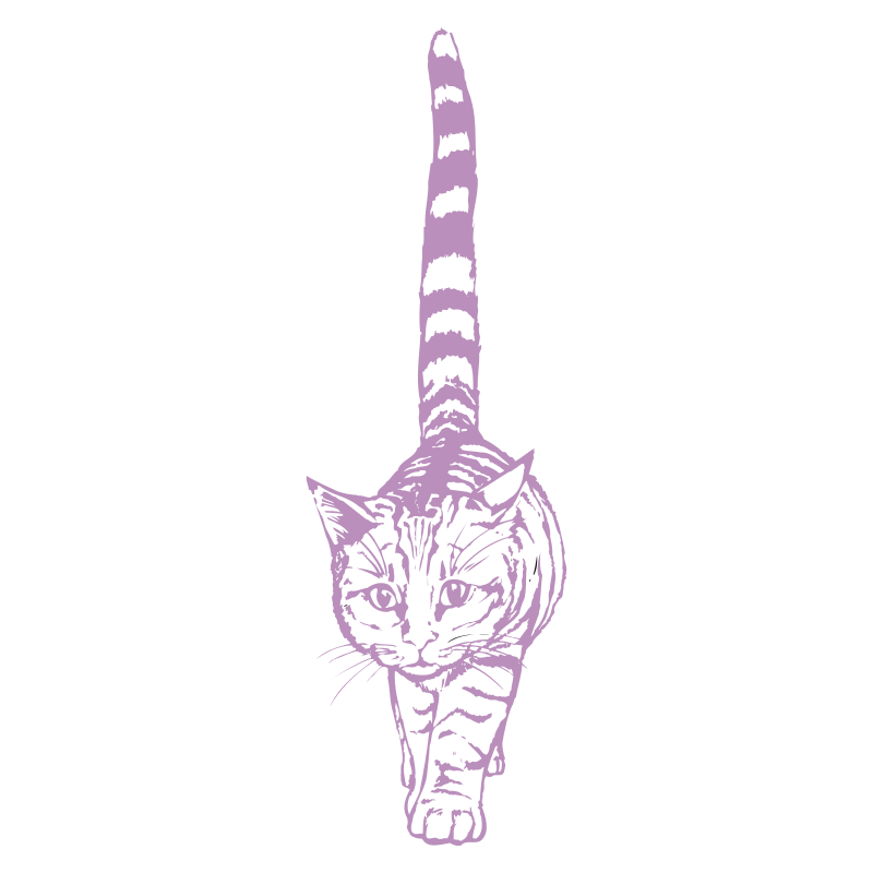 Sticker Chat géant